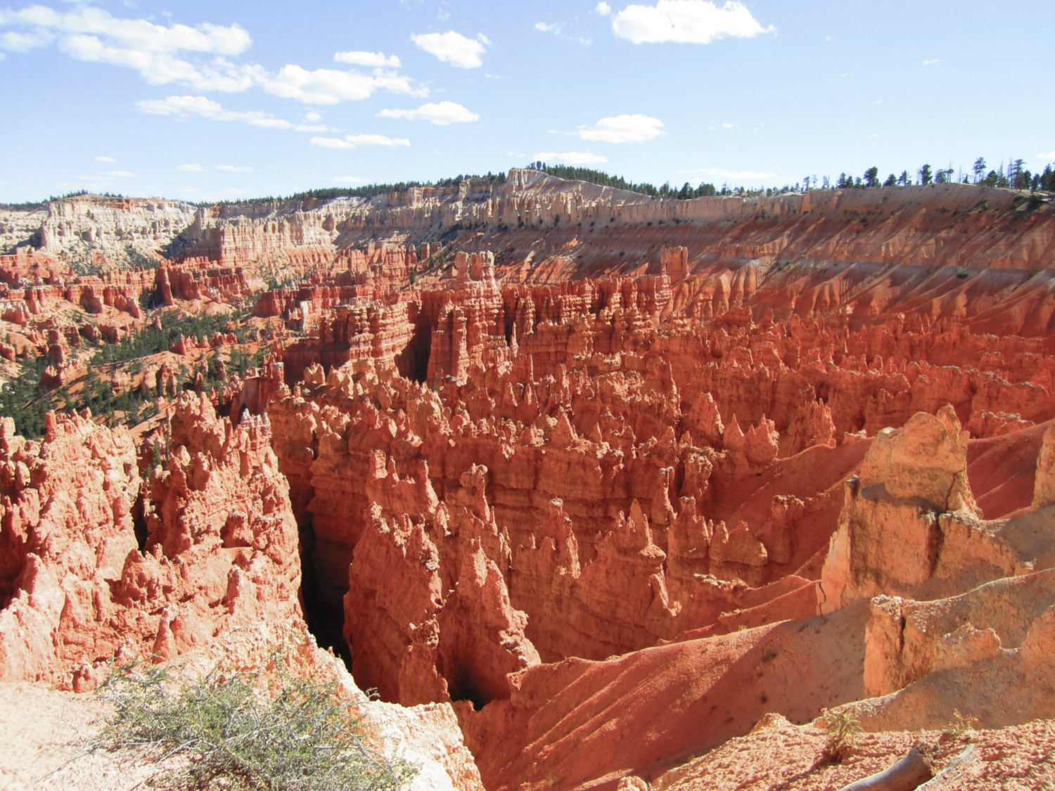USA_Bryce Canyon_A_015